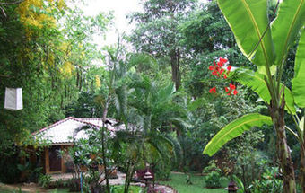 Hotel Pongsuda Chalet