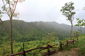 Hotel Rabeang Pasak Treehouse Resort