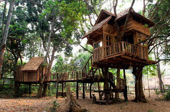 Hotel Rabeang Pasak Treehouse Resort