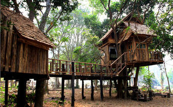 Hotel Rabeang Pasak Treehouse Resort