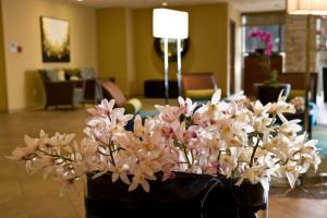 Hotel Embassy Suites San Diego La Jolla