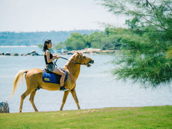 Hotel Mayang Sari Beach Resort