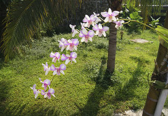 Xishuangbanna Hotel Laos Luang Prabang