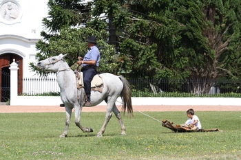 San Pedro De Timote Hotel Del Campo