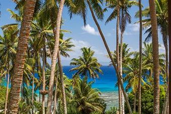 Albergue Maravu Taveuni Lodge