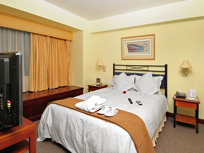 Hotel Plaza Del Bosque