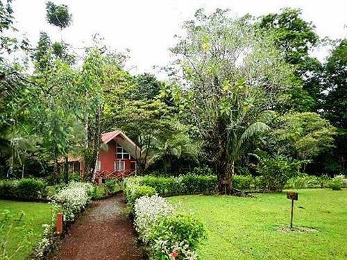 Posada Caribbean Paradise Eco-lodge