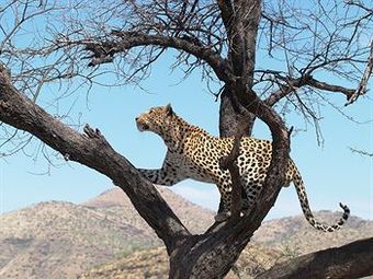 Posada D�sternbrook Safari Guest Farm