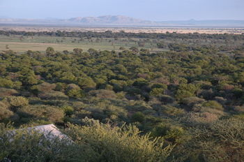 Hotel Kirawira Serena Camp