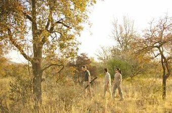 Posada Morokolo Game Lodge
