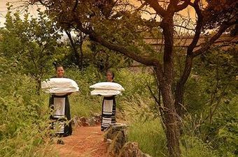 Posada Tuningi Safari Lodge