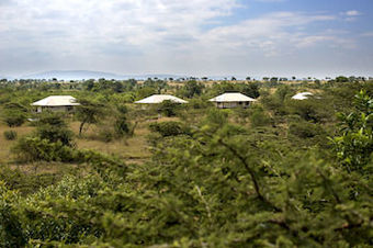 Hotel Neptune Mara Rianta Luxury Camp - All Inclusive