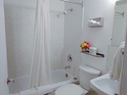 Motel Kootenay Country Inn