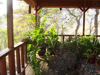 Hotel Bellevue Guesthouse