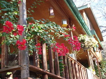 Hotel Bellevue Guesthouse