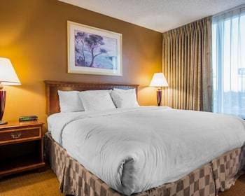 Hotel Clarion Inn And Conference Center