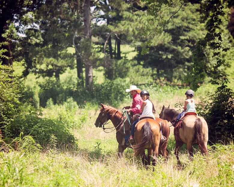 Bed & Breakfast Seventy-four Ranch