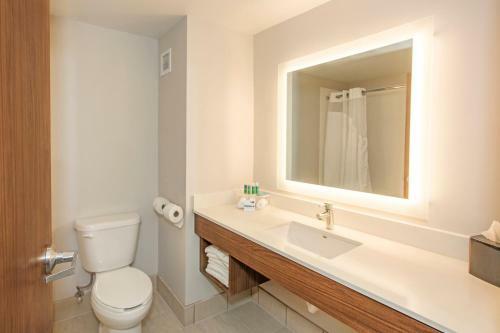 Hotel Holiday Inn Express & Suites Pittsburgh North Shore