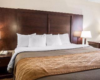 Hotel Comfort Inn And Suites
