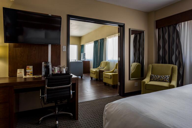 Hotel Holiday Inn Houston Downtown