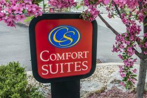Hotel Comfort Suites Monroeville