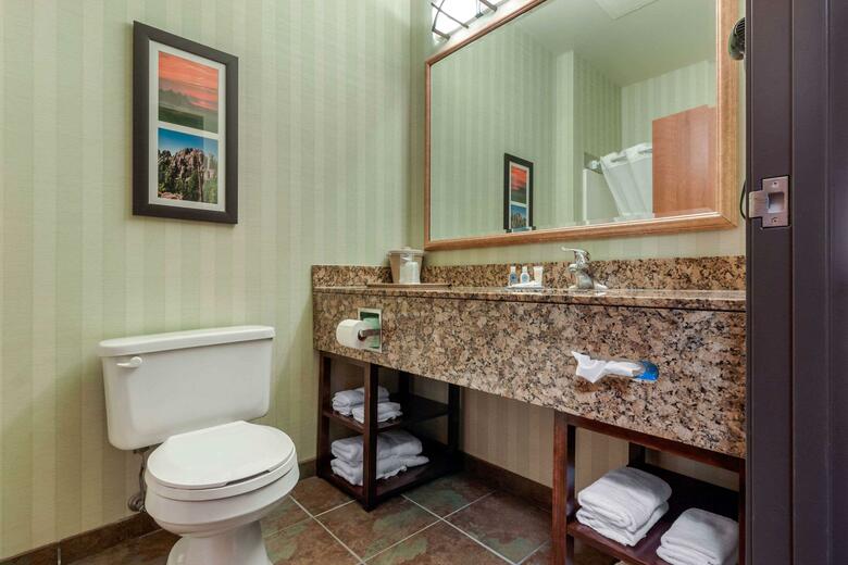 Hotel Comfort Inn And Suites