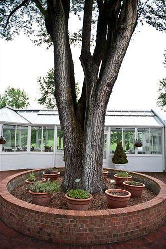 Bed & Breakfast Inn At Old Virginia