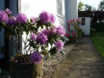 Warners Farm B&B