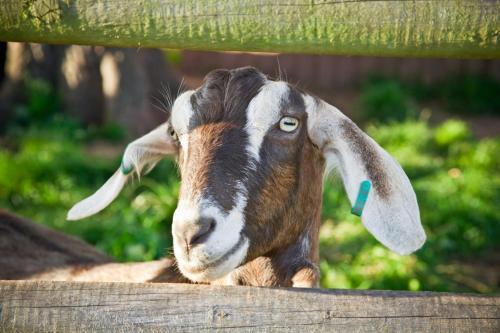 Agroturismo Huntstile Organic Farm