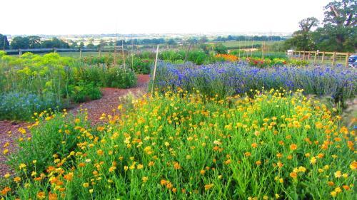 Agroturismo Huntstile Organic Farm