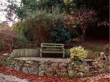 Tibbiwell Lodge - B&B