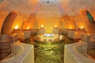 Hotel Banyan Tree