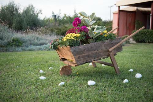Aparthotel Kalloni Royal Resort