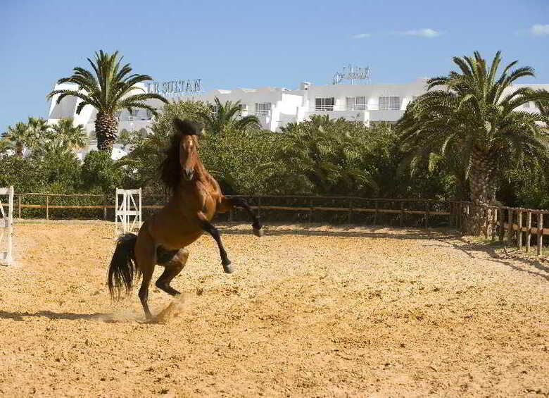 Hotel Le Sultan