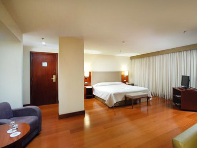 Hotel Golden Tulip Belas Artes