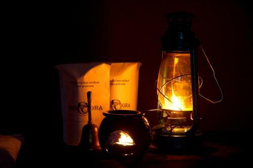 Mahoora Tented Safari Camp - Yala