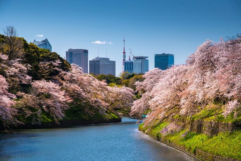 Hotel Four Seasons En Marunouchi