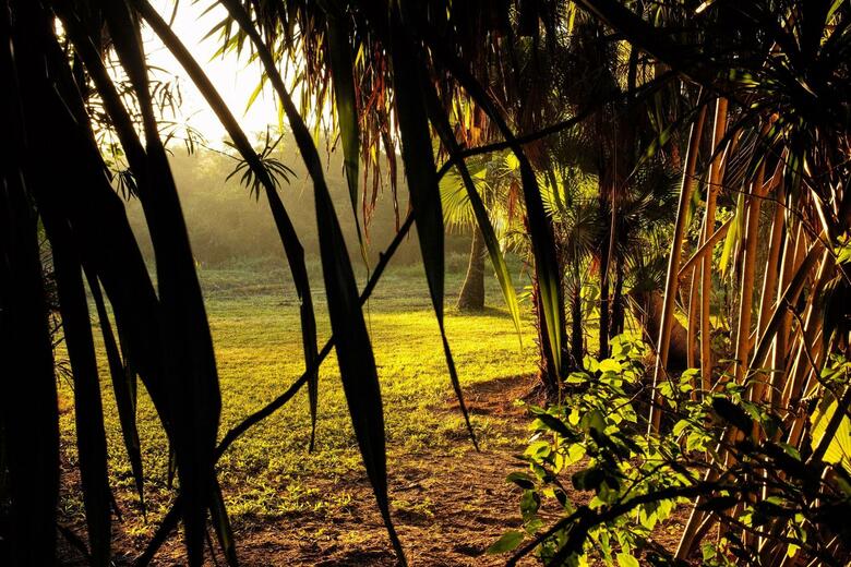 Hotel Maruba Resort & Jungle Spa