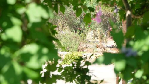 Apartamento Oasi San Pio