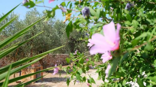 Apartamento Oasi San Pio