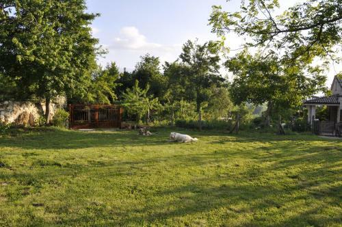 Agroturismo Agriturismo Tholos