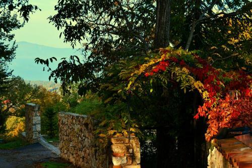 Agroturismo Agriturismo Tholos