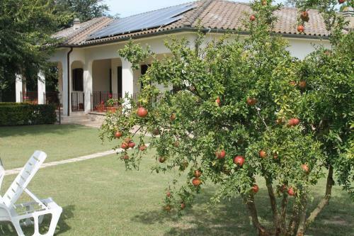 Hostal Relais La Mimosa