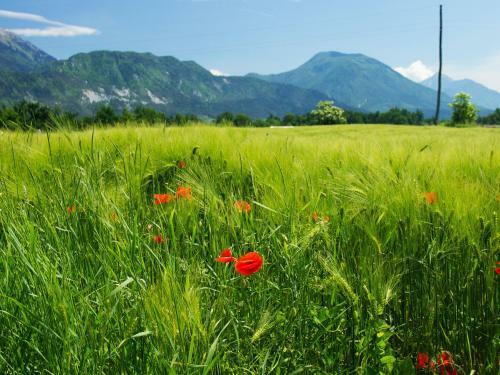 Holiday Home Bled Wes