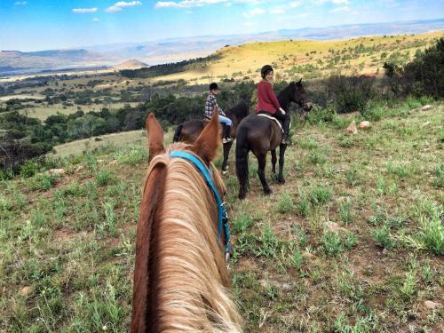 Agroturismo Lydenrust Guest Farm