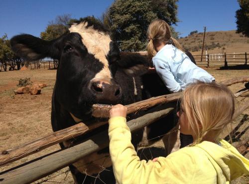 Agroturismo Lydenrust Guest Farm