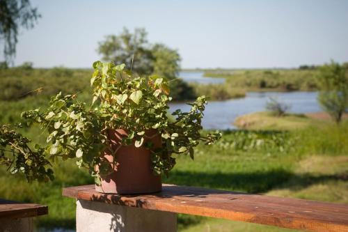 Bamb� River Lodge