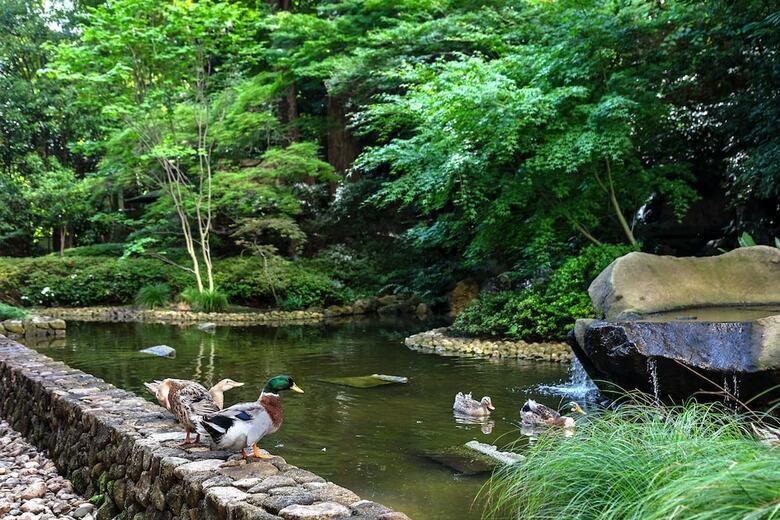 Sheraton Miyako Hotel Tokyo