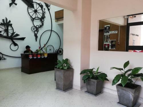 Apartamento Paraguay Alquileres Temporarios