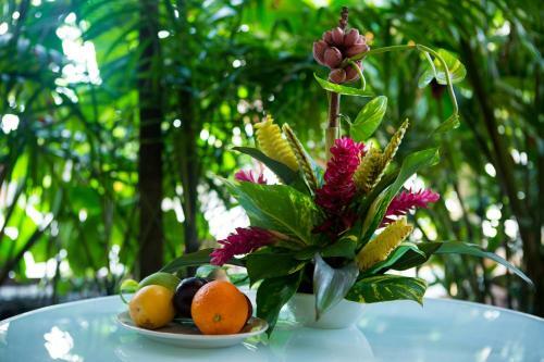 Hotel Jacana Amazon Wellness Resort